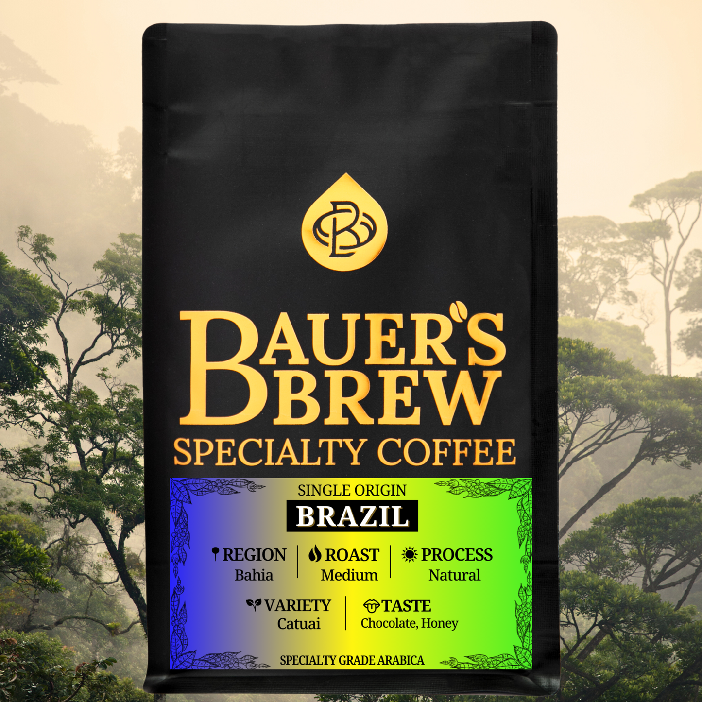 Brazil, Bahia - Bauer's Brew