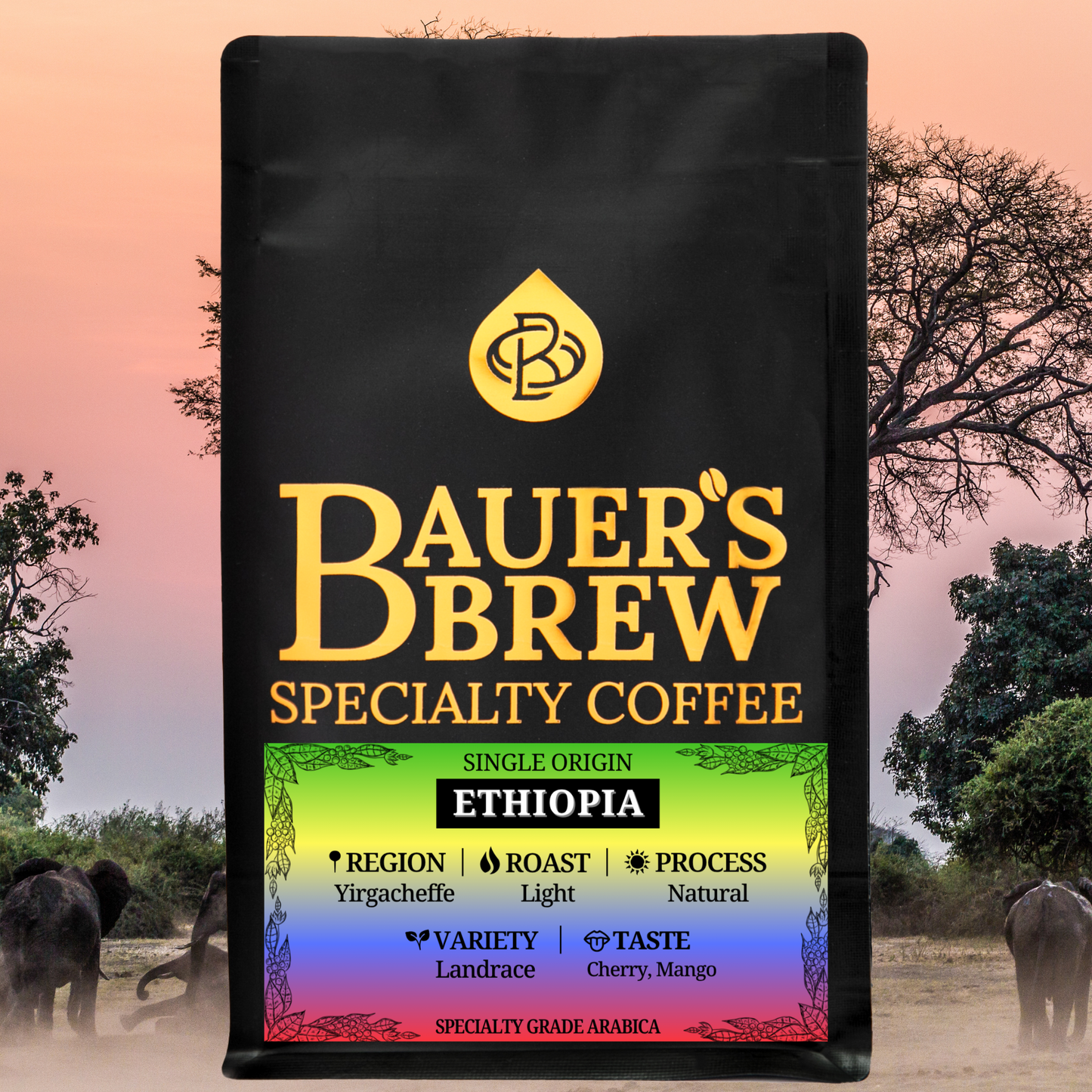 Ethiopia, Yirgacheffe - Bauer's Brew